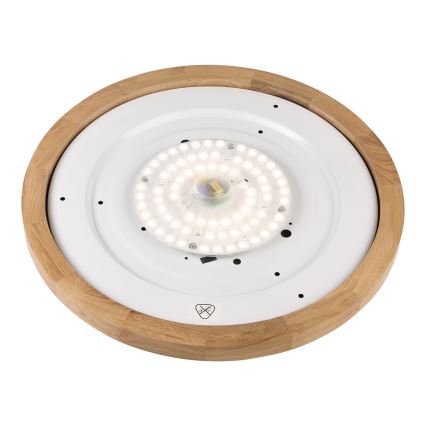 Бриллагі - LED стельове світло BELLADONNA LED/36W/230V діаметр 50 см біле/дуб
