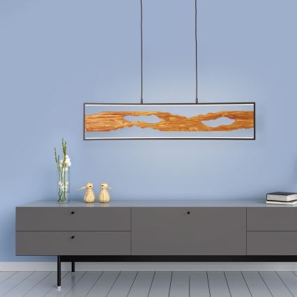Brilliant - LED Luster na lanku CHAUMONT LED/20W/230V borovica