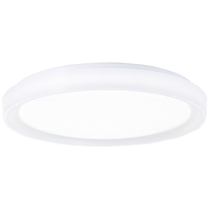 Brilliant - LED RGBW Stmievateľné stropné svietidlo FLOCO LED/34W/230V 3000-6500K pr. 49,5 cm biela + diaľkové ovládanie