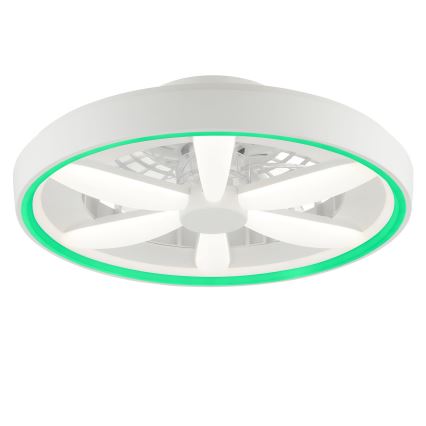 Brilliant - LED RGBW Stmievateľný stropný ventilátor so svetlom GAIANO LED/48W/230V 2700-6500K biela + diaľkové ovládanie
