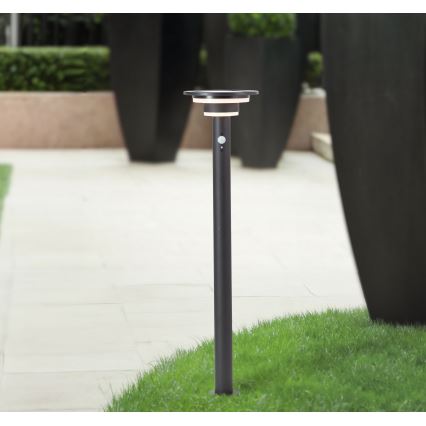 Brilliant - LED Solárna lampa so senzorom GARVINA LED/3W/3,7V 2000 mAh 85 cm IP44 čierna