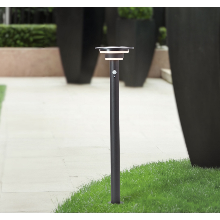 Brilliant - LED Solárna lampa so senzorom GARVINA LED/3W/3,7V 2000 mAh 85 cm IP44 čierna