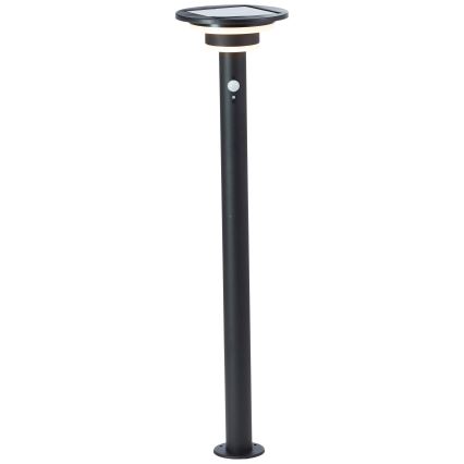 Brilliant - LED Solárna lampa so senzorom GARVINA LED/3W/3,7V 2000 mAh 85 cm IP44 čierna