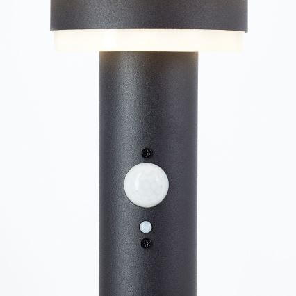 Brilliant - LED Solárna lampa so senzorom GARVINA LED/3W/3,7V 2000 mAh 85 cm IP44 čierna