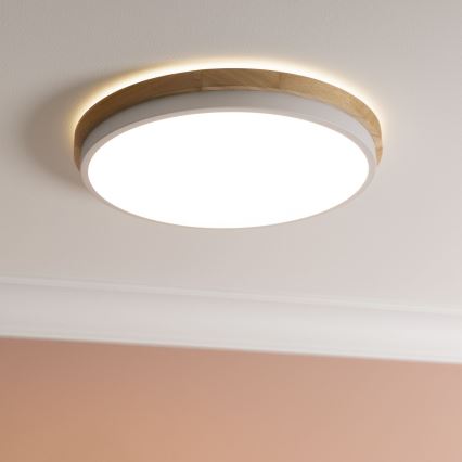 Brilliant - LED Stmievateľné stropné svietidlo BAARLO LED/24W/230V pr. 35 cm biela/gumovník