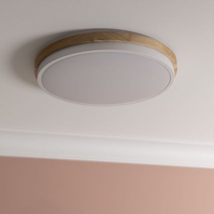 Brilliant - LED Stmievateľné stropné svietidlo BAARLO LED/24W/230V pr. 35 cm biela/gumovník