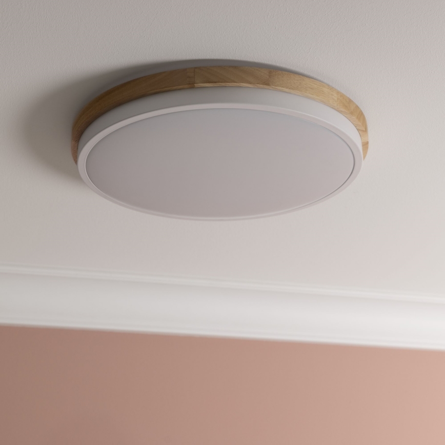 Brilliant - LED Stmievateľné stropné svietidlo BAARLO LED/24W/230V pr. 35 cm biela/gumovník