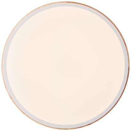 Brilliant - LED Stmievateľné stropné svietidlo BAARLO LED/24W/230V pr. 35 cm biela/gumovník