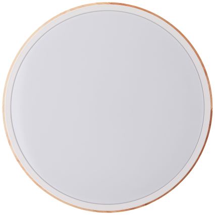 Brilliant - LED Stmievateľné stropné svietidlo BAARLO LED/24W/230V pr. 35 cm biela/gumovník