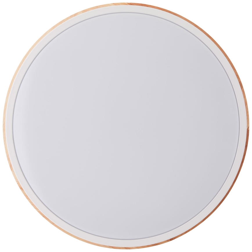 Brilliant - LED Stmievateľné stropné svietidlo BAARLO LED/24W/230V pr. 35 cm biela/gumovník