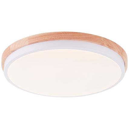 Brilliant - LED Stmievateľné stropné svietidlo BAARLO LED/24W/230V pr. 35 cm biela/gumovník