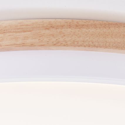 Brilliant - LED Stmievateľné stropné svietidlo BAARLO LED/24W/230V pr. 35 cm biela/gumovník