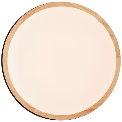 Brilliant - LED Stmievateľné stropné svietidlo BAARLO LED/24W/230V pr. 35 cm čierna/gumovník