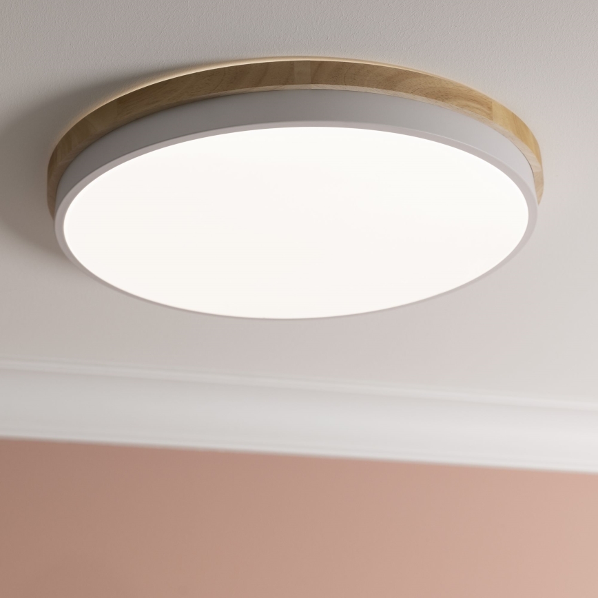 Brilliant - LED Stmievateľné stropné svietidlo BAARLO LED/36W/230V 3000-6500K pr. 50 cm biela/gumovník + diaľkové ovládanie