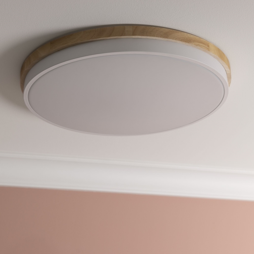 Brilliant - LED Stmievateľné stropné svietidlo BAARLO LED/36W/230V 3000-6500K pr. 50 cm biela/gumovník + diaľkové ovládanie