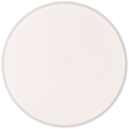 Brilliant - LED Stmievateľné stropné svietidlo BAARLO LED/36W/230V 3000-6500K pr. 50 cm biela/gumovník + diaľkové ovládanie