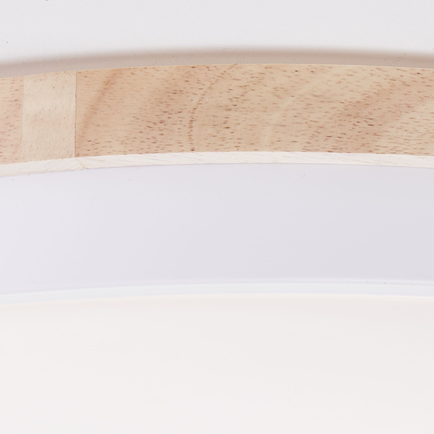 Brilliant - LED Stmievateľné stropné svietidlo BAARLO LED/36W/230V 3000-6500K pr. 50 cm biela/gumovník + diaľkové ovládanie