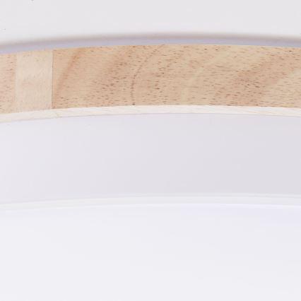 Brilliant - LED Stmievateľné stropné svietidlo BAARLO LED/36W/230V 3000-6500K pr. 50 cm biela/gumovník + diaľkové ovládanie