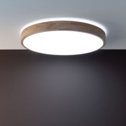 Brilliant - LED Stmievateľné stropné svietidlo SLIMLINE LED/60W/230V 3000-6500K pr. 45 cm gumovník + diaľkové ovládanie