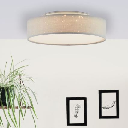 Brilliant - LED Stmievateľné stropné svietidlo BASKA LED/12W/230V pr. 38 cm 3000K