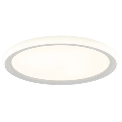 Brilliant - LED stmievateľné stropné svietidlo CARLOZ LED/16W/230V pr. 30 cm biela