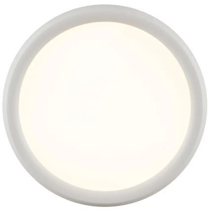Brilliant - LED stmievateľné stropné svietidlo CARLOZ LED/16W/230V pr. 30 cm biela