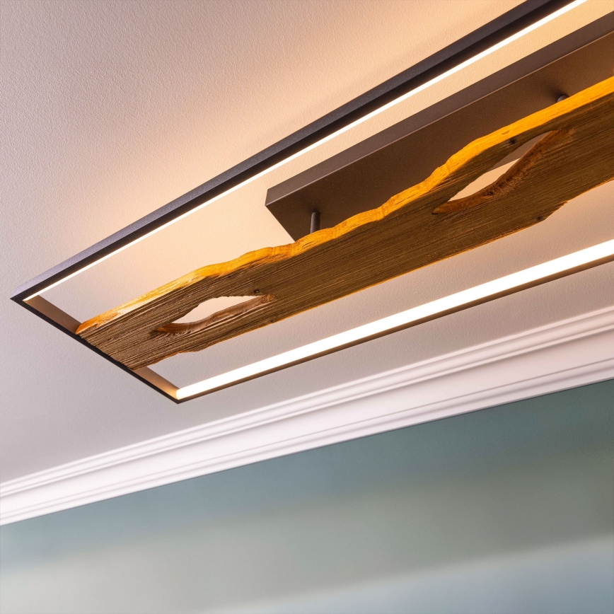 Brilliant - LED Stmievateľné stropné svietidlo CHAUMONT LED/48W/230V gumovník