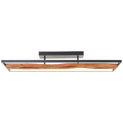 Brilliant - LED Stmievateľné stropné svietidlo CHAUMONT LED/48W/230V gumovník