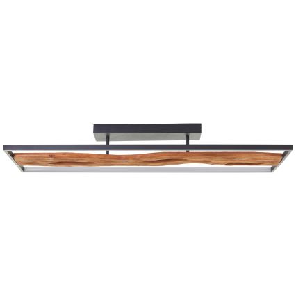 Brilliant - LED Stmievateľné stropné svietidlo CHAUMONT LED/48W/230V gumovník