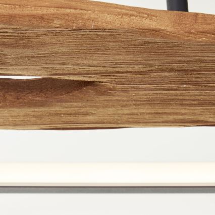 Brilliant - LED Stmievateľné stropné svietidlo CHAUMONT LED/48W/230V gumovník