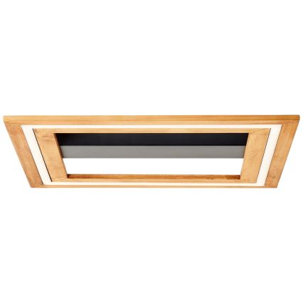 Brilliant - LED Stmievateľné stropné svietidlo RHEA LED/24W/230V 3000K 45x45 cm