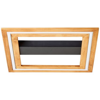 Brilliant - LED Stmievateľné stropné svietidlo RHEA LED/24W/230V 3000K 45x45 cm
