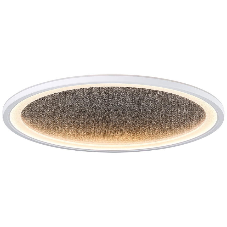 Brilliant - LED Stmievateľné stropné svietidlo TANIDA LED/31W/230V 3000-6500K + diaľkové ovládanie