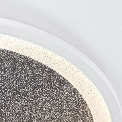 Brilliant - LED Stmievateľné stropné svietidlo TANIDA LED/31W/230V 3000-6500K + diaľkové ovládanie