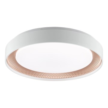 Brilliant - LED Stmievateľné stropné svietidlo WALDO LED/24W/230V 3000-6500K pr. 38,5 cm biela/ružové zlato + diaľkové ovládanie