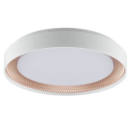 Brilliant - LED Stmievateľné stropné svietidlo WALDO LED/24W/230V 3000-6500K pr. 38,5 cm biela/ružové zlato + diaľkové ovládanie