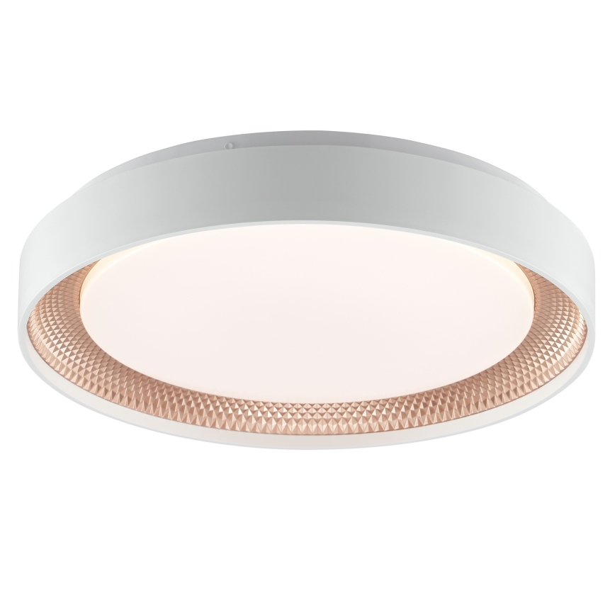 Brilliant - LED Stmievateľné stropné svietidlo WALDO LED/24W/230V 3000-6500K pr. 38,5 cm biela/ružové zlato + diaľkové ovládanie