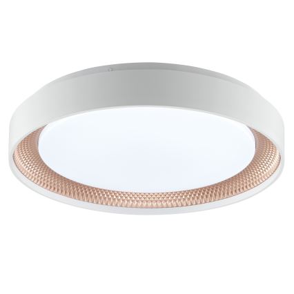 Brilliant - LED Stmievateľné stropné svietidlo WALDO LED/24W/230V 3000-6500K pr. 38,5 cm biela/ružové zlato + diaľkové ovládanie