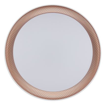 Brilliant - LED Stmievateľné stropné svietidlo WALDO LED/24W/230V 3000-6500K pr. 38,5 cm biela/ružové zlato + diaľkové ovládanie