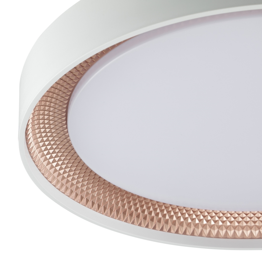 Brilliant - LED Stmievateľné stropné svietidlo WALDO LED/24W/230V 3000-6500K pr. 38,5 cm biela/ružové zlato + diaľkové ovládanie