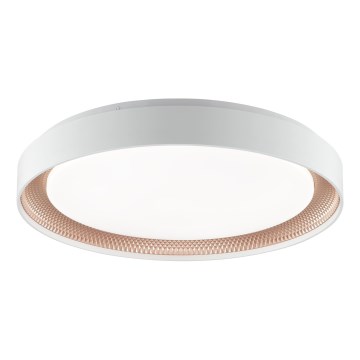 Brilliant - LED stmievateľné stropné svietidlo WALDO LED/36W/230V 3000-6500K pr. 48,5 cm biela/ružové zlato + diaľkové ovládanie