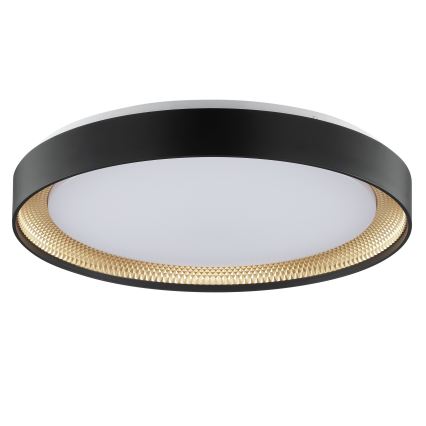 Brilliant - LED Stmievateľné stropné svietidlo WALDO LED/36W/230V 3000-6500K pr. 48,5 cm čierna/zlatá + diaľkové ovládanie