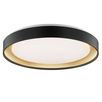 Brilliant - LED Stmievateľné stropné svietidlo WALDO LED/36W/230V 3000-6500K pr. 48,5 cm čierna/zlatá + diaľkové ovládanie