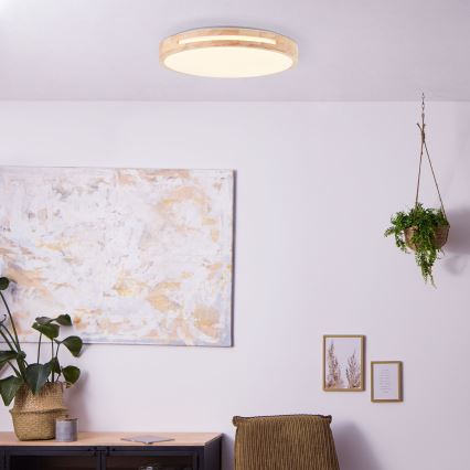 Brilliant - LED Stmievateľné stropné svietidlo WOODBURY LED/24W/230V pr. 39 cm gumovník - FSC certifikované
