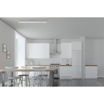 Brilliant - LED Stmievateľný panel CHARLA LED/22W/230V 7x120 cm 3000K