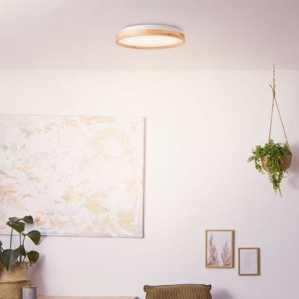 Brilliant - LED Stropné svietidlo ALSON LED/26W/230V 3000/4500K pr. 39,5 cm gumovník
