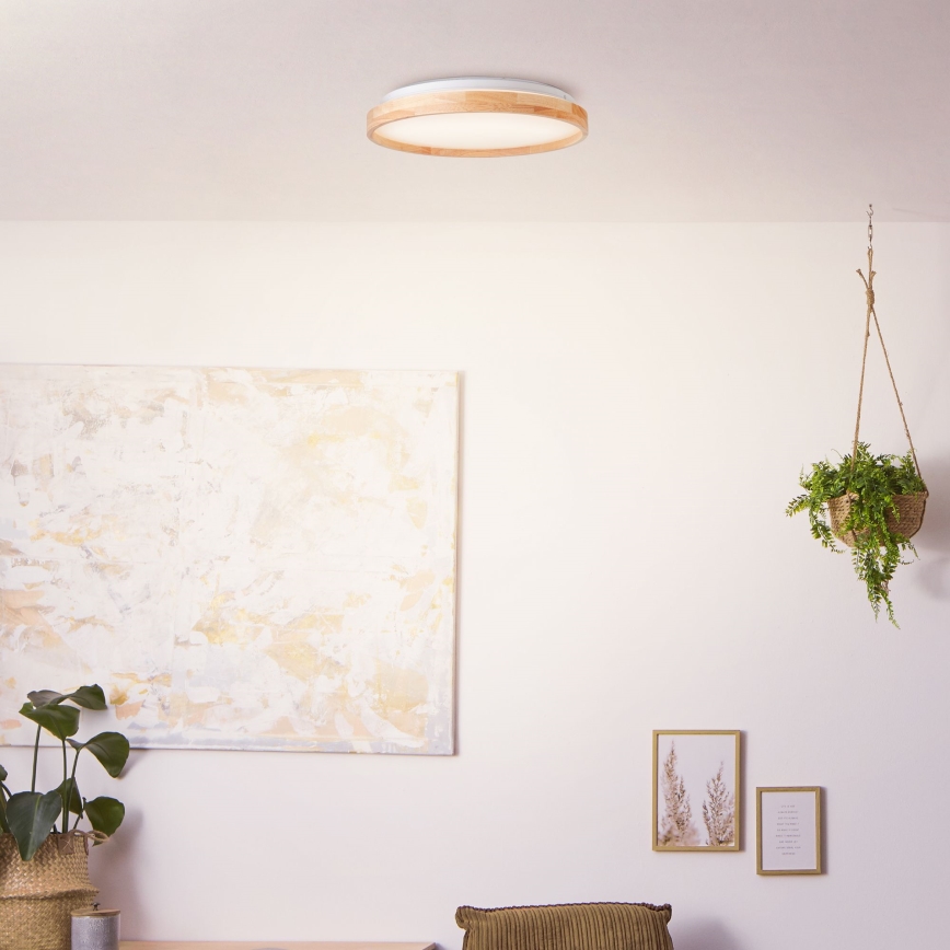 Brilliant - LED Stropné svietidlo ALSON LED/26W/230V 3000/4500K pr. 39,5 cm gumovník