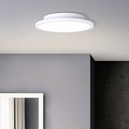 Brilliant - LED Stropné svietidlo BUFFI LED/13W/230V pr. 25 cm 2700K