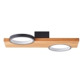 Brilliant - LED Stropné svietidlo CHEESY LED/14W/230V borovica