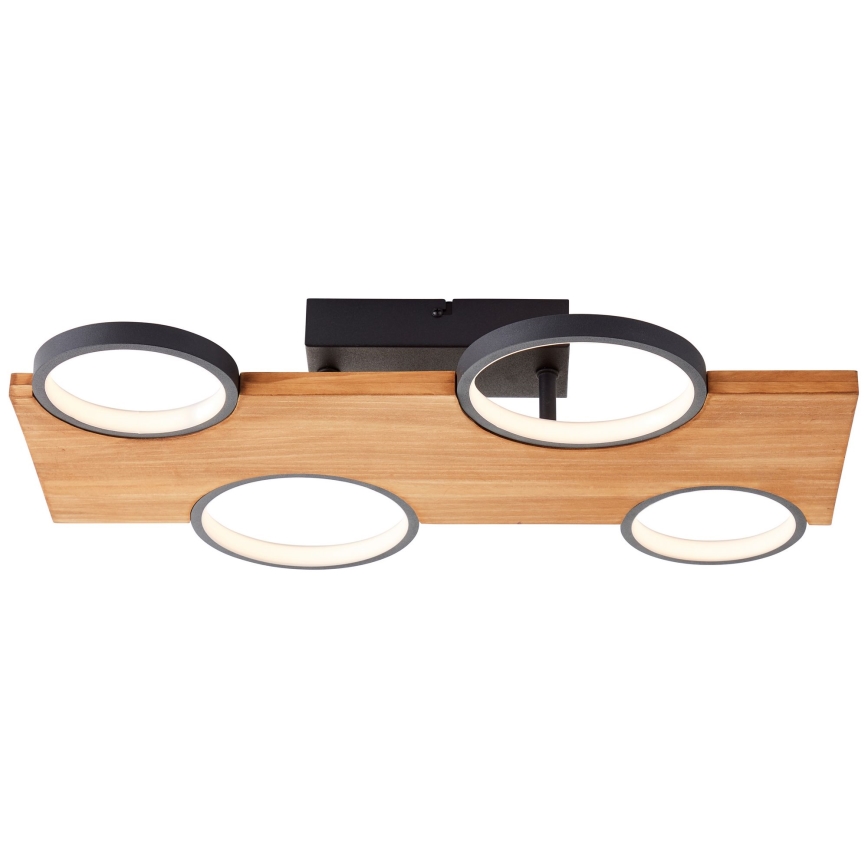 Brilliant - LED Stropné svietidlo CHEESY LED/28W/230V borovica